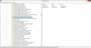 CVE-2017-8529 - print regression
