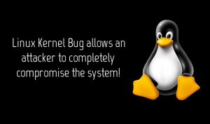 Linux kernel bug