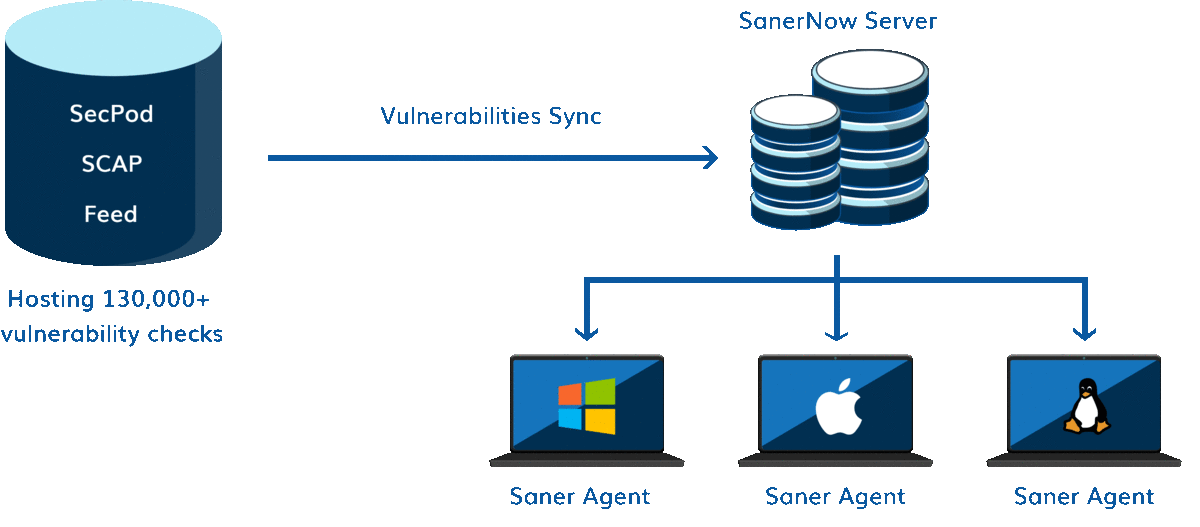 Working of SanerNow