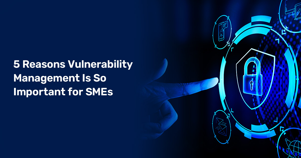 Read more about the article 5 Reasons Vulnerability Management Is So Important for SMEs