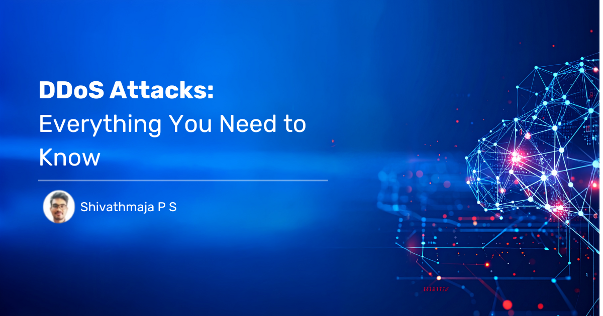 You are currently viewing DDoS Attack – Everything You Need to Know