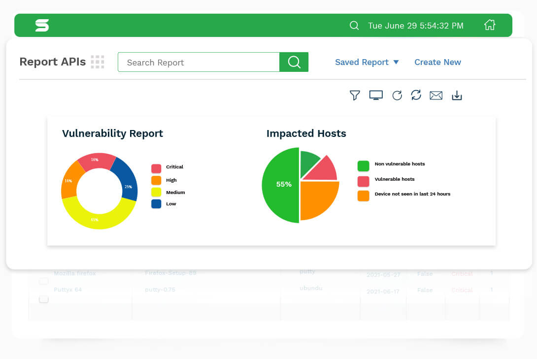 what is vulnerability management reports